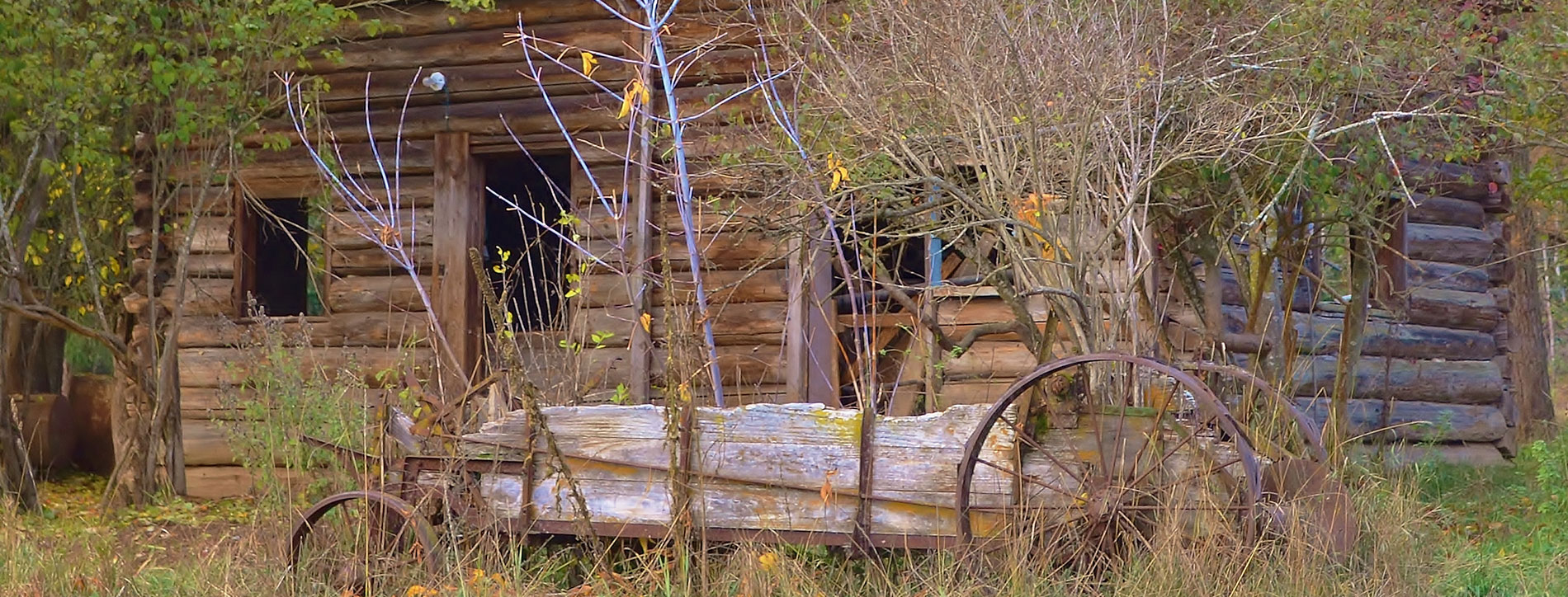 BC Livestock Producers CoOperative Association B.C. Livestock