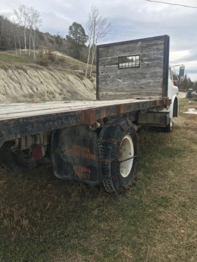 BC Livestock Sale Image
