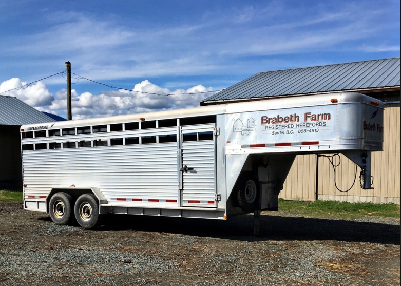 BC Livestock Sale Image