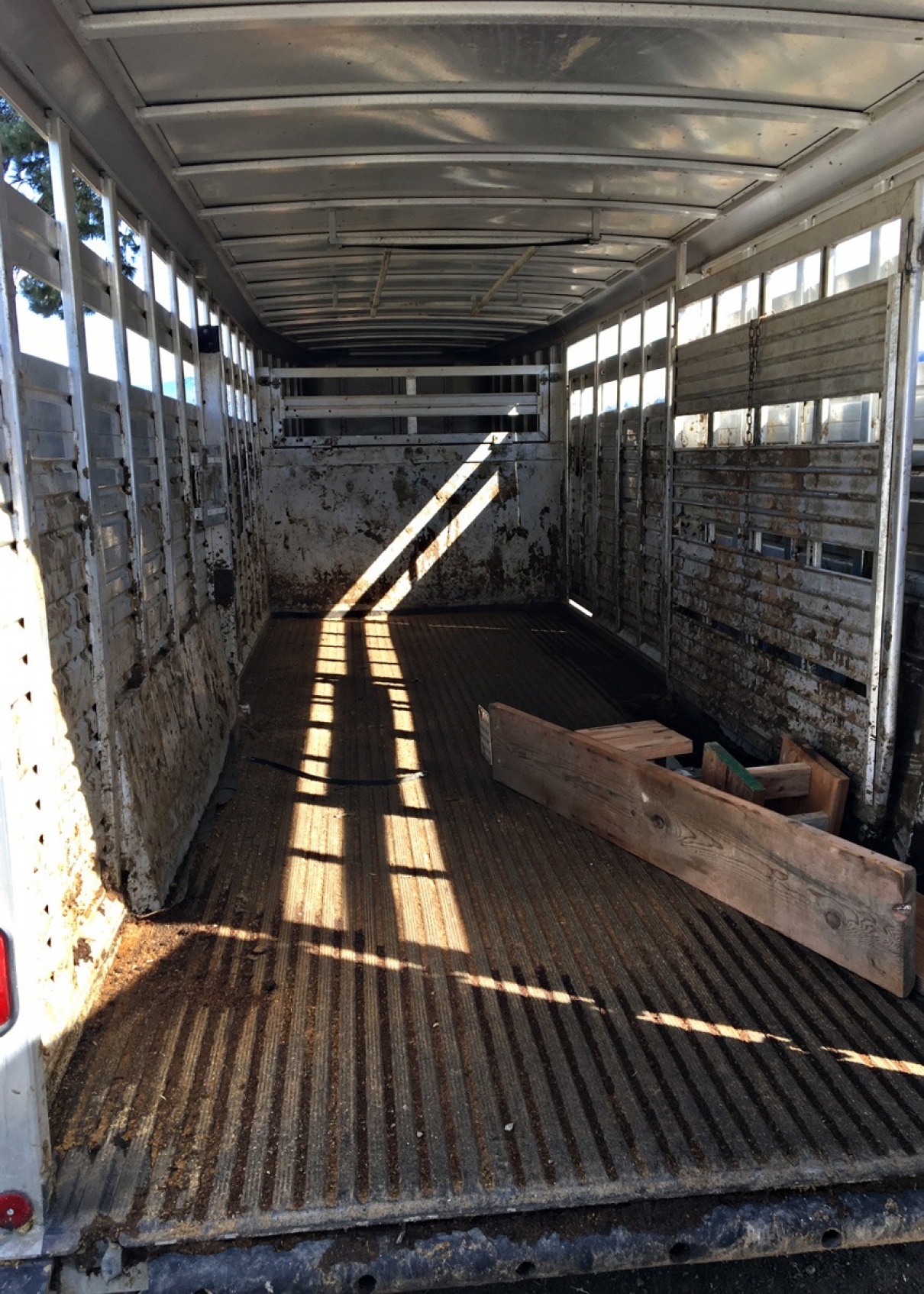 BC Livestock Sale Image