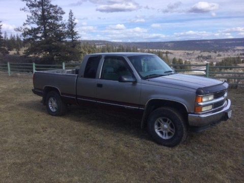 BC Livestock Sale Image