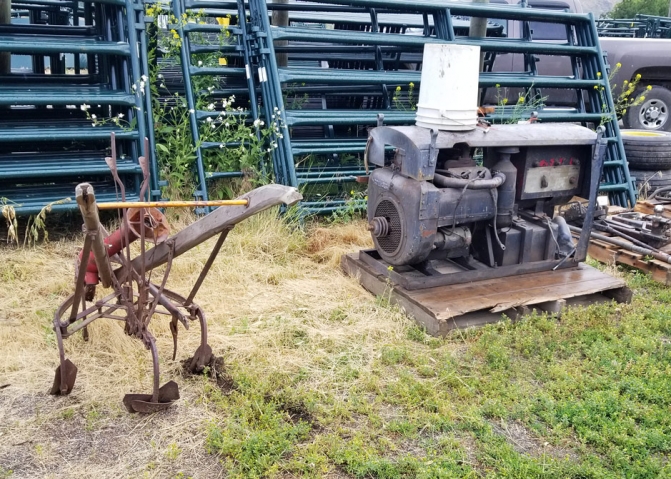 BC Livestock Sale Image