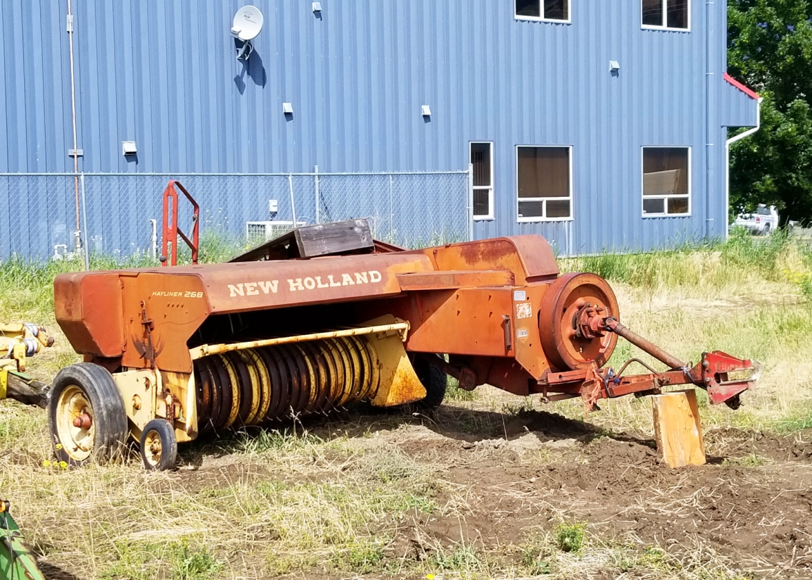 BC Livestock Sale Image