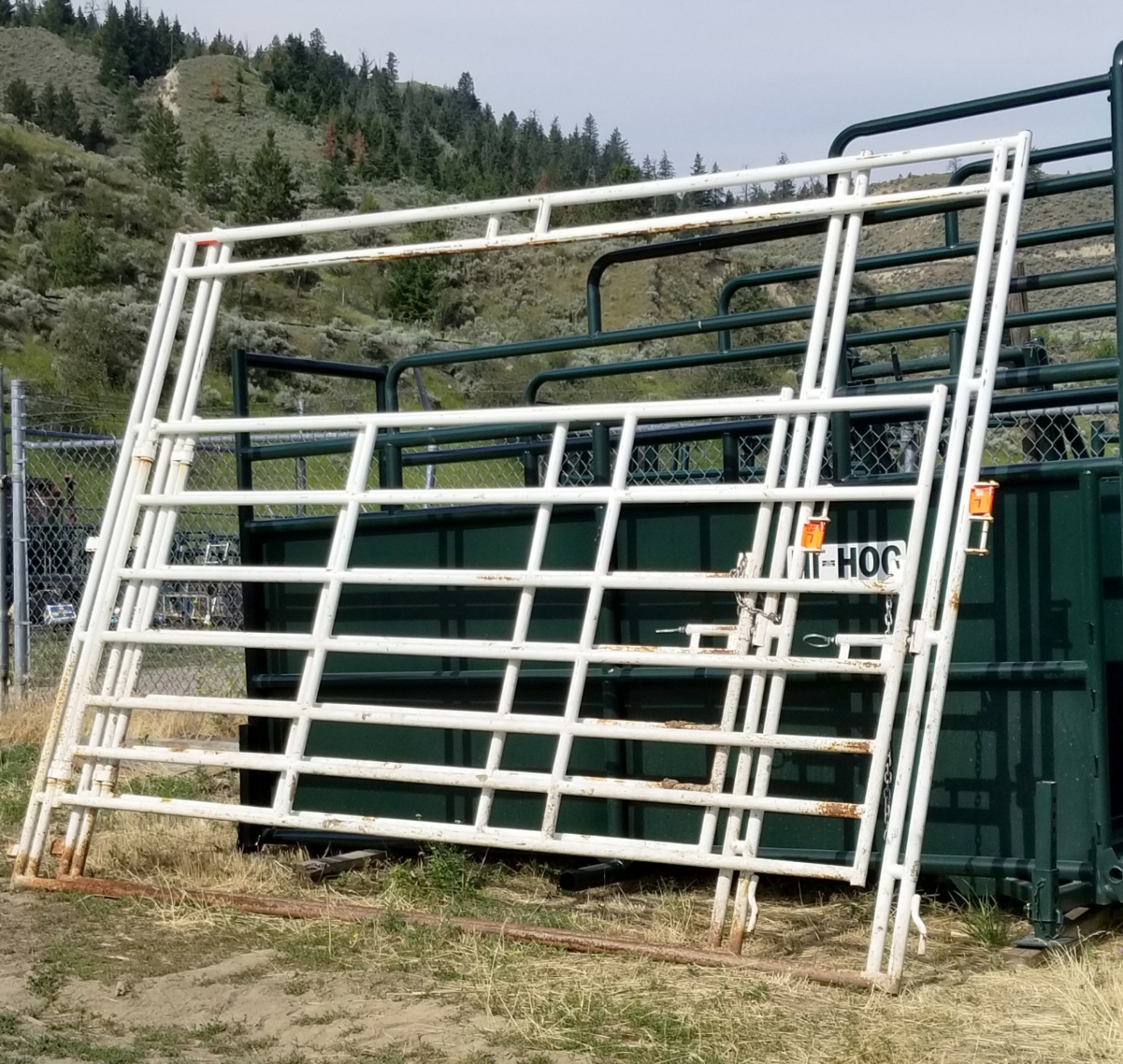 BC Livestock Sale Image