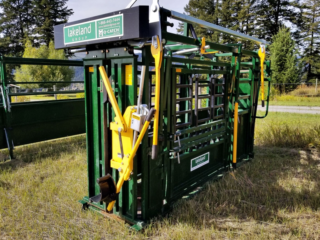 BC Livestock Sale Image