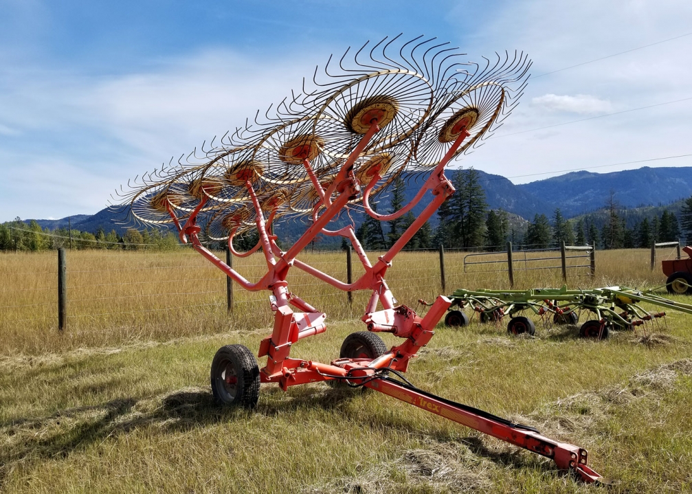 BC Livestock Sale Image