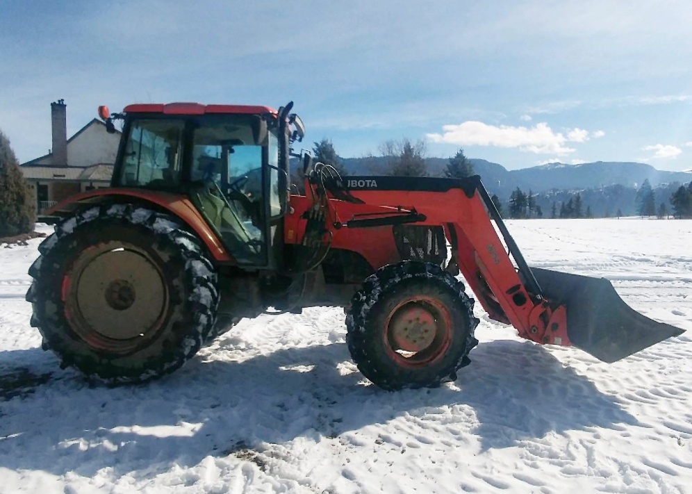 BC Livestock Sale Image