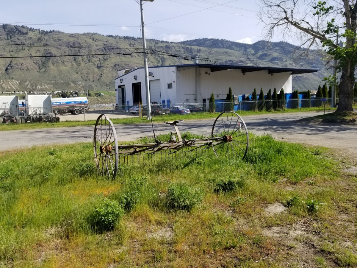 BC Livestock Sale Image