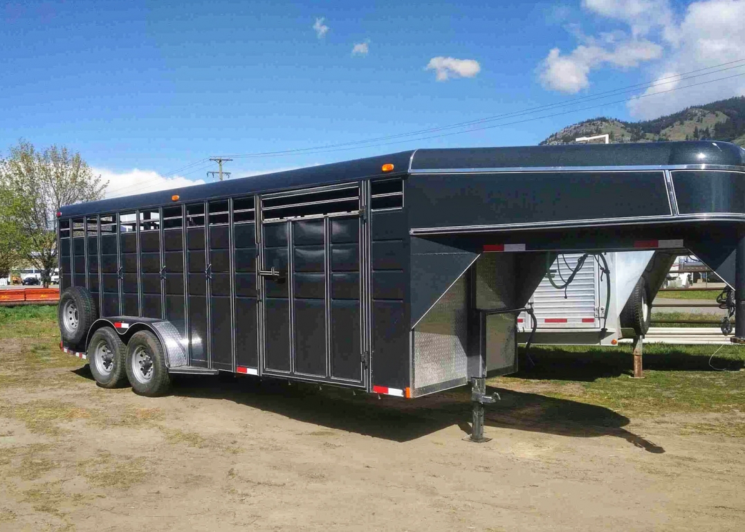 BC Livestock Sale Image
