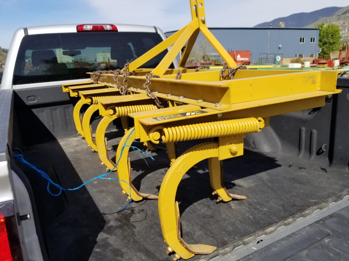 BC Livestock Sale Image