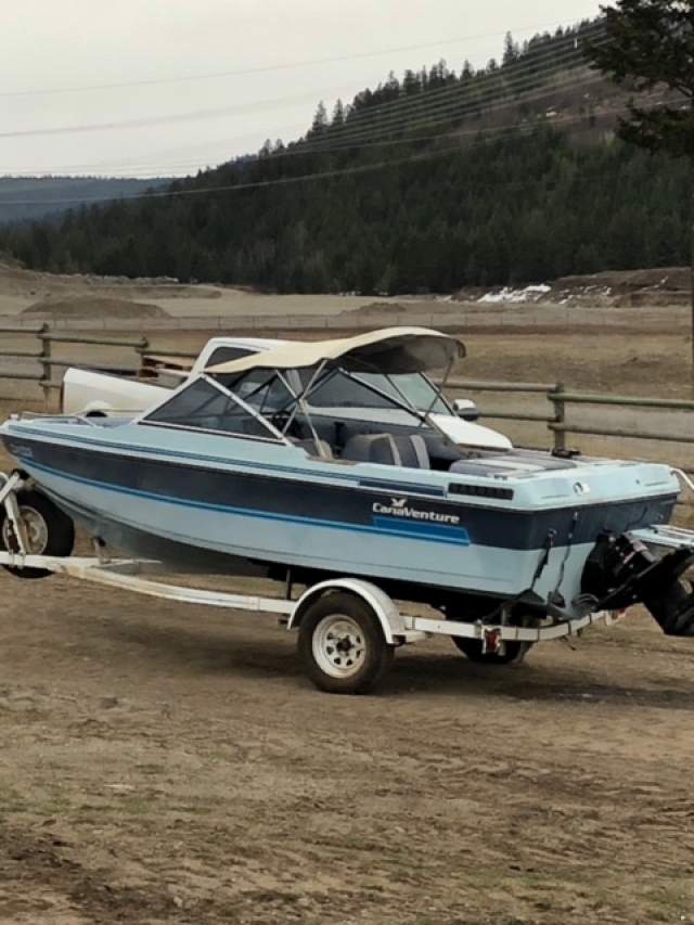 BC Livestock Sale Image