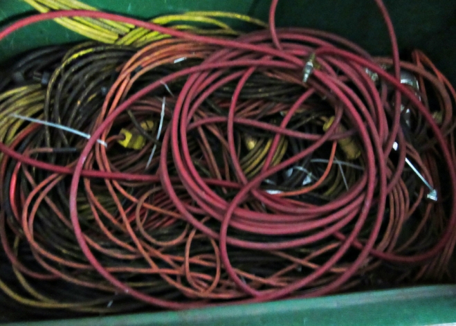 BC Livestock Sale Image