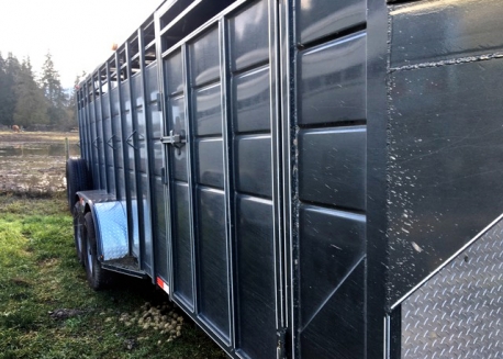 BC Livestock Sale Image