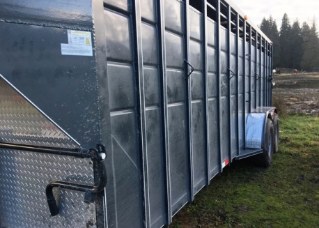 BC Livestock Sale Image