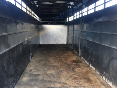 BC Livestock Sale Image