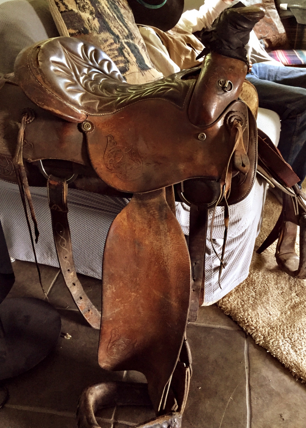 BC Livestock Sale Image