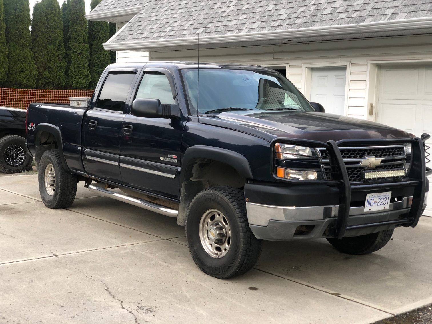 BC Livestock Sale Image