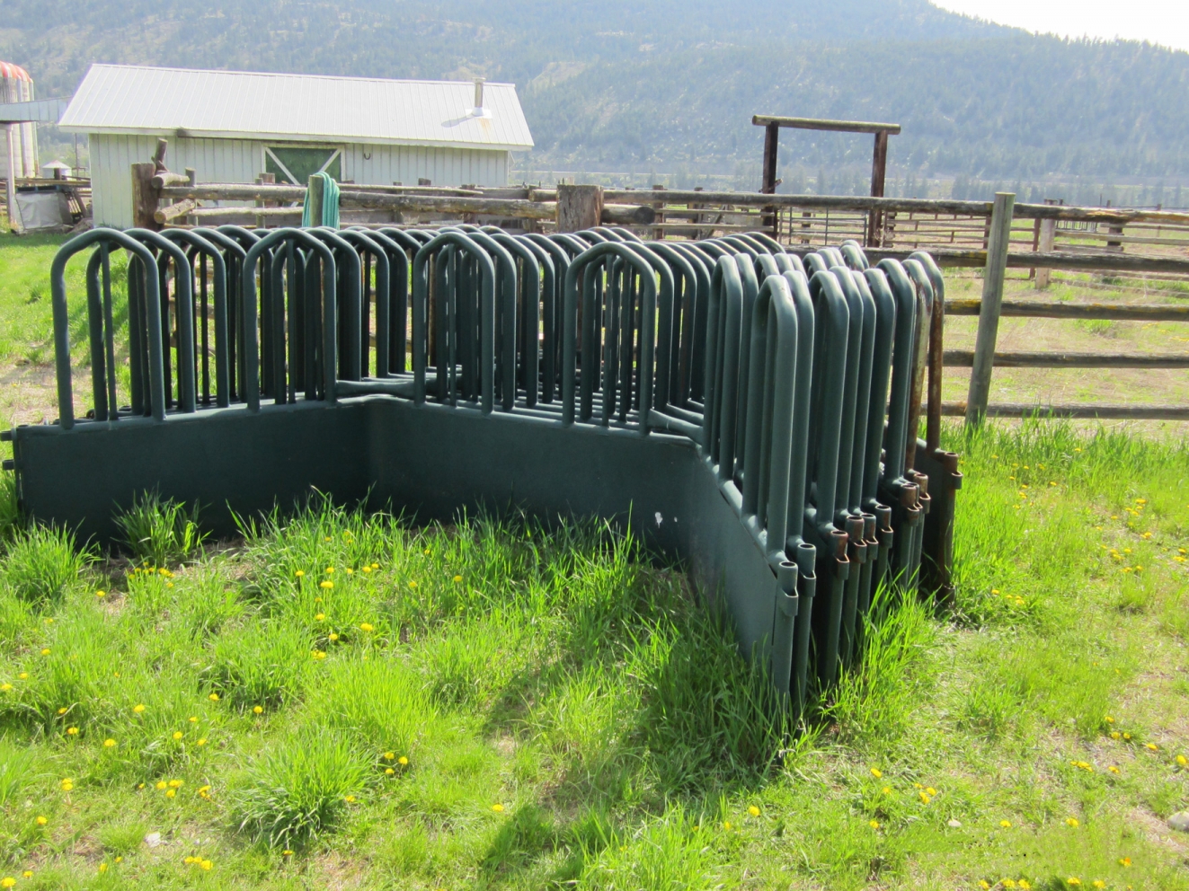 BC Livestock Sale Image