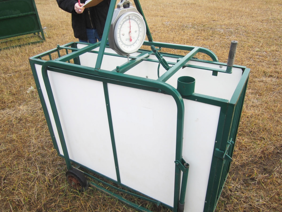 BC Livestock Sale Image