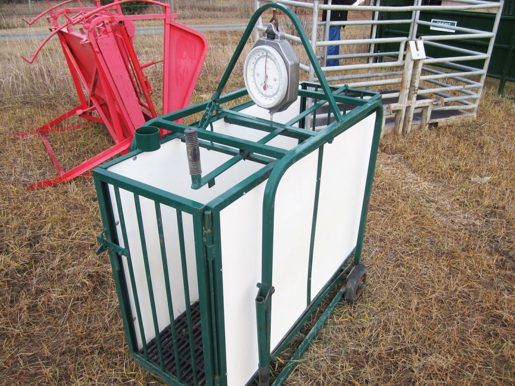 BC Livestock Sale Image