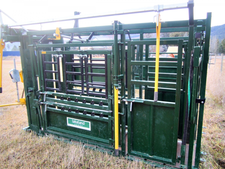 BC Livestock Sale Image