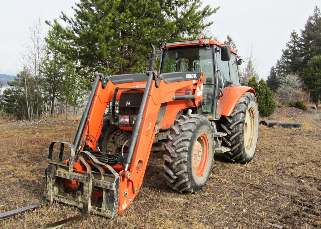BC Livestock Sale Image