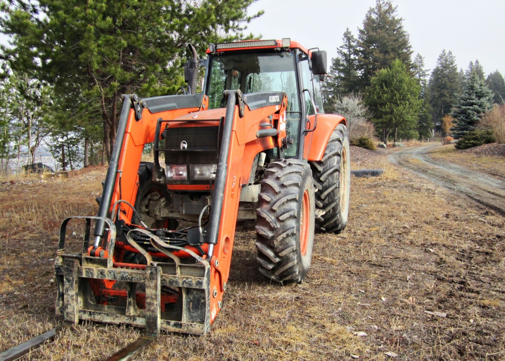 BC Livestock Sale Image