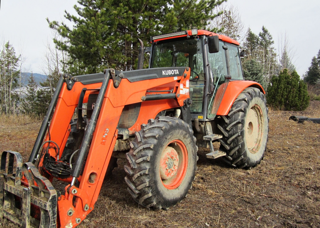 BC Livestock Sale Image