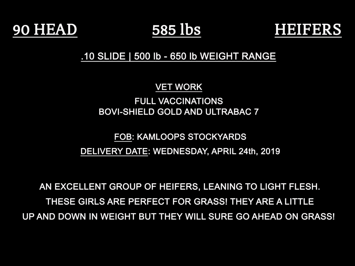BC Livestock Sale Image
