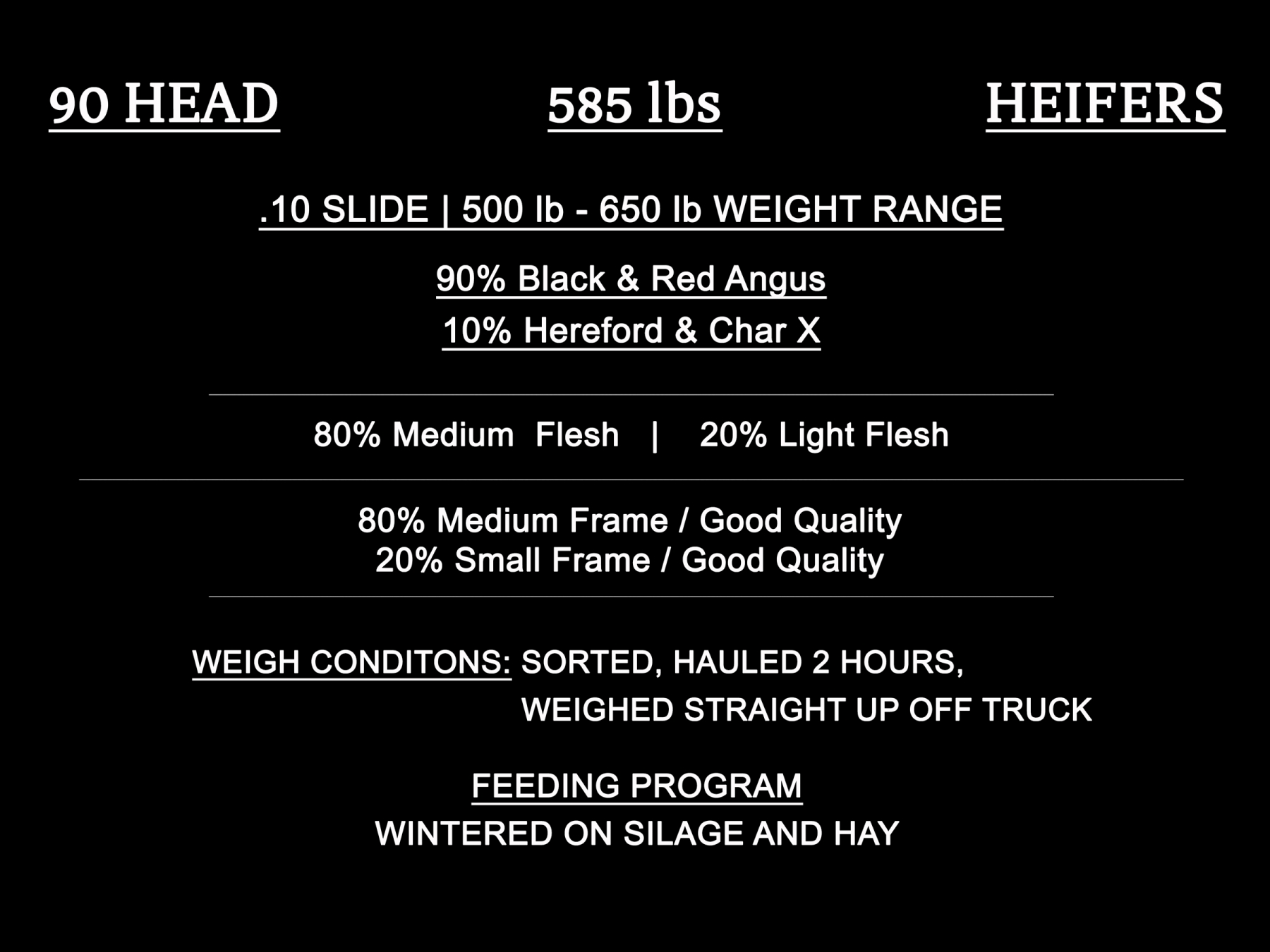 BC Livestock Sale Image