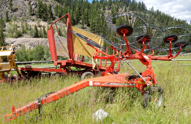 BC Livestock Sale Image
