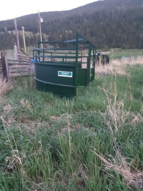 BC Livestock Sale Image