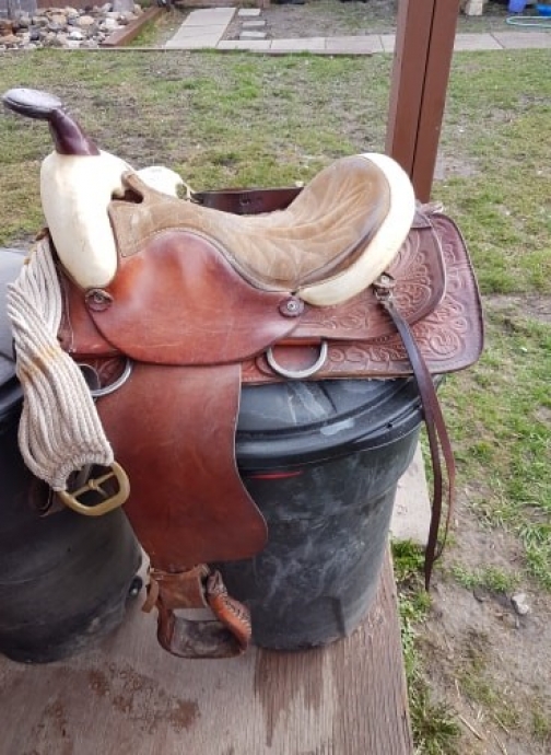 BC Livestock Sale Image