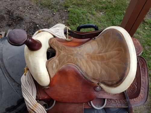 BC Livestock Sale Image