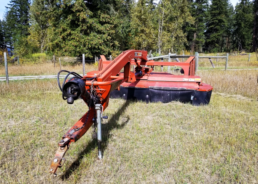 BC Livestock Sale Image