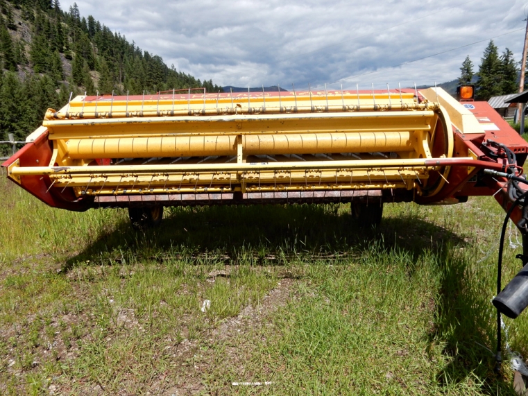 BC Livestock Sale Image