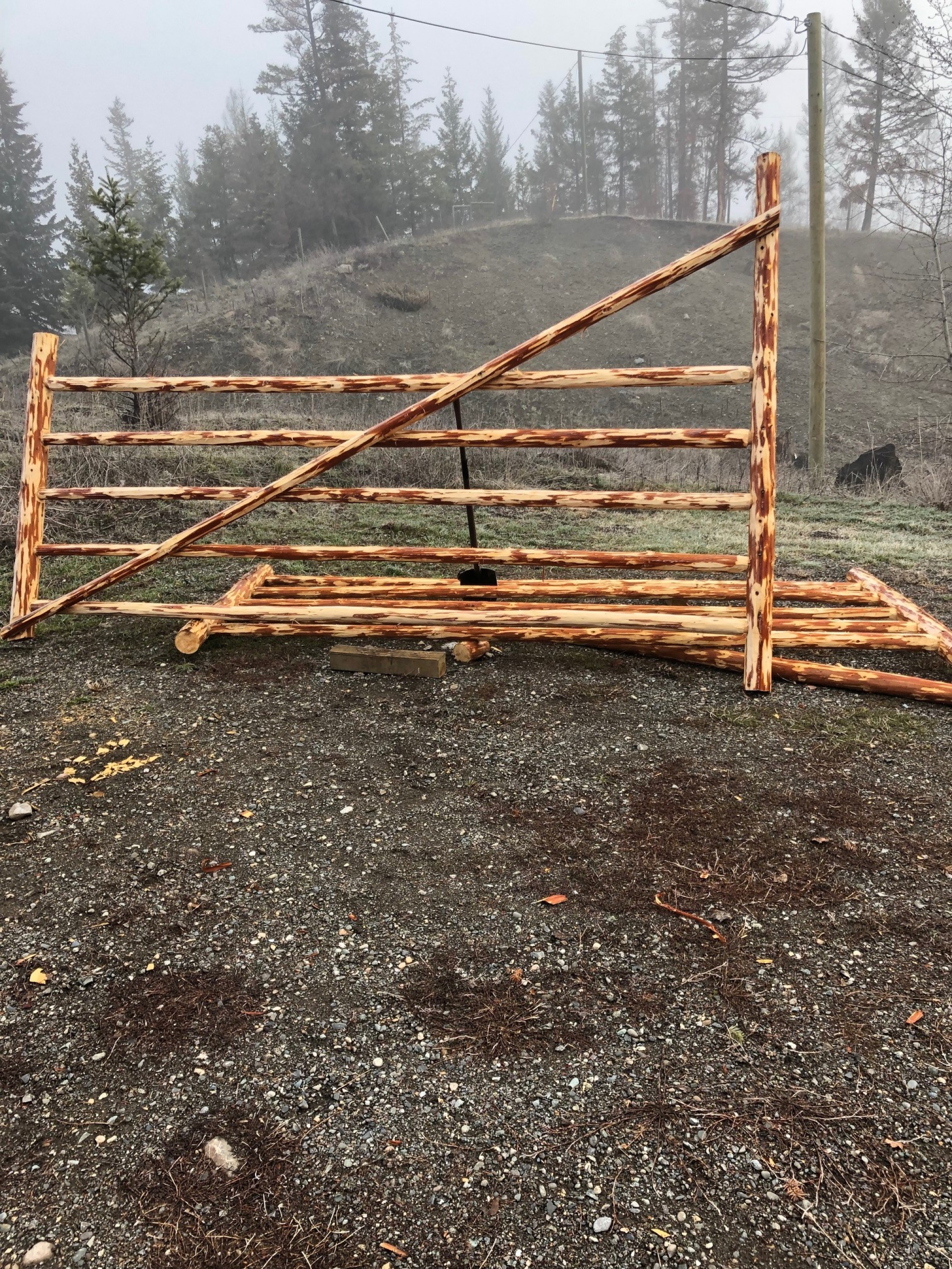 BC Livestock Sale Image