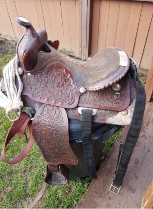 BC Livestock Sale Image