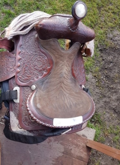 BC Livestock Sale Image