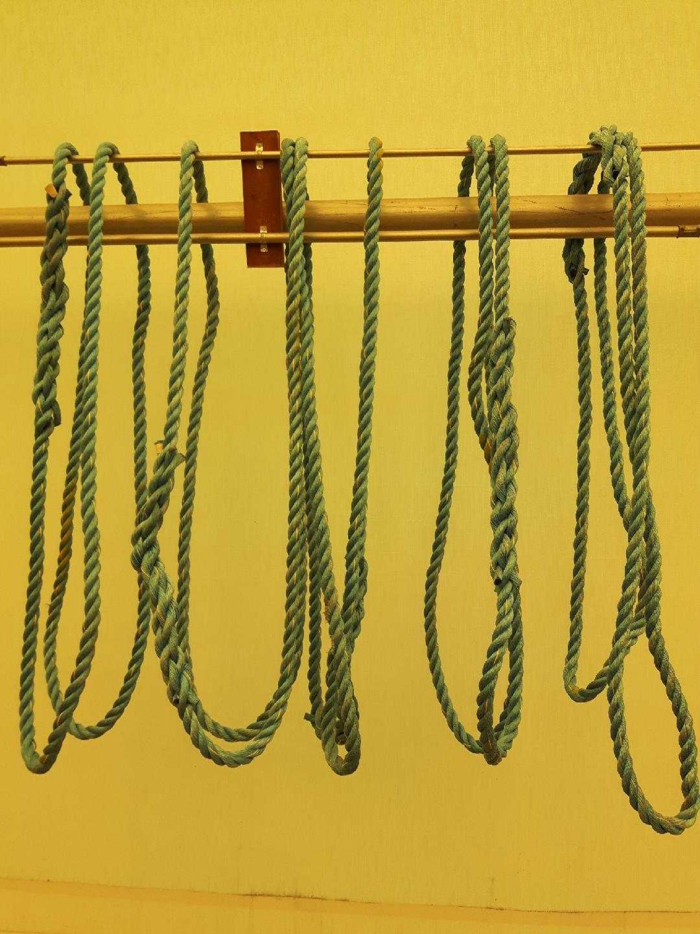 BC Livestock Sale Image