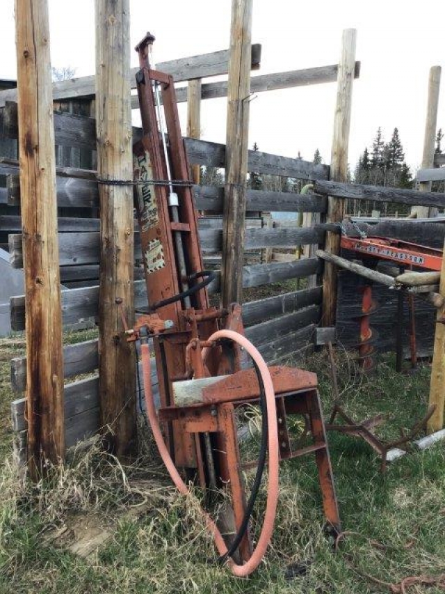 BC Livestock Sale Image