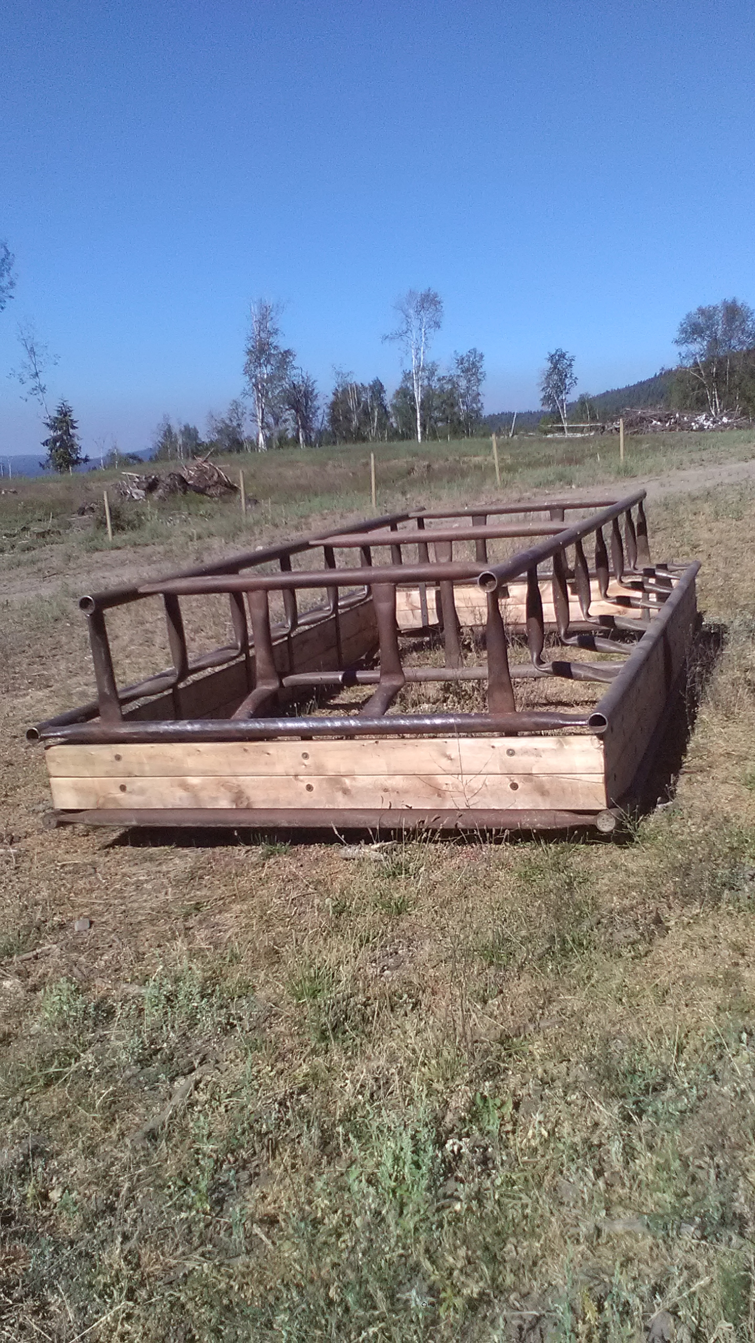 BC Livestock Sale Image