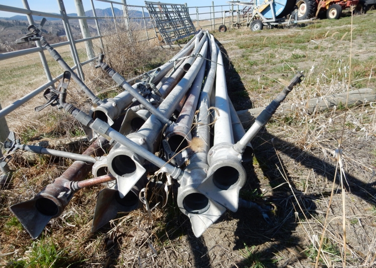BC Livestock Sale Image