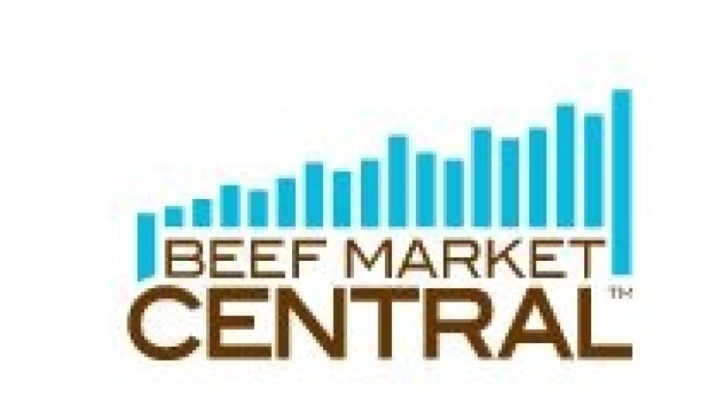 Beef Market Central