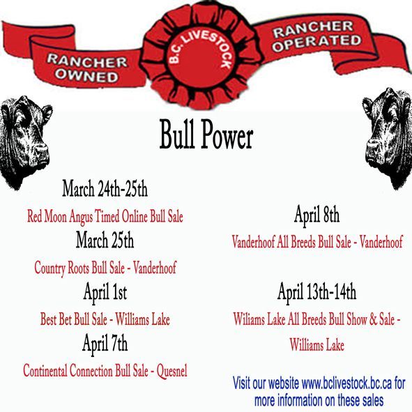 All Bull Sales