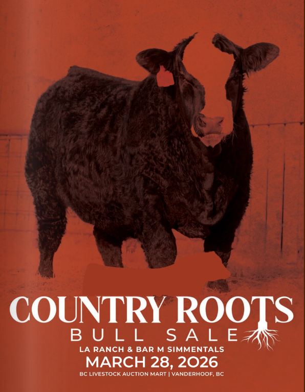CR BULL SALE