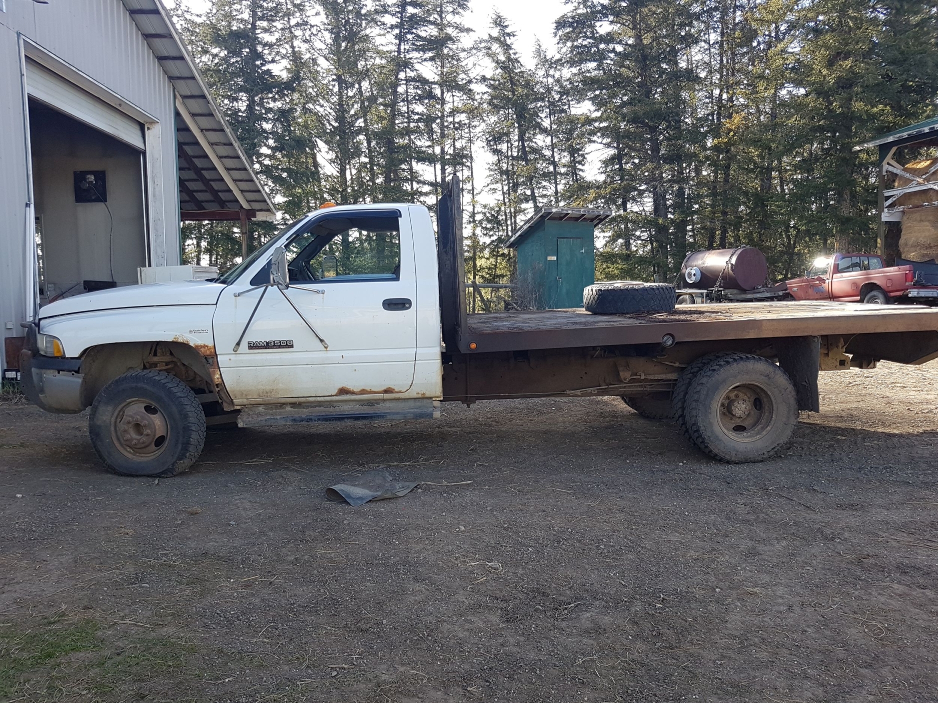 BC Livestock Sale Image