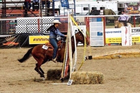 BC Livestock Sale Image
