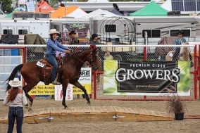 BC Livestock Sale Image