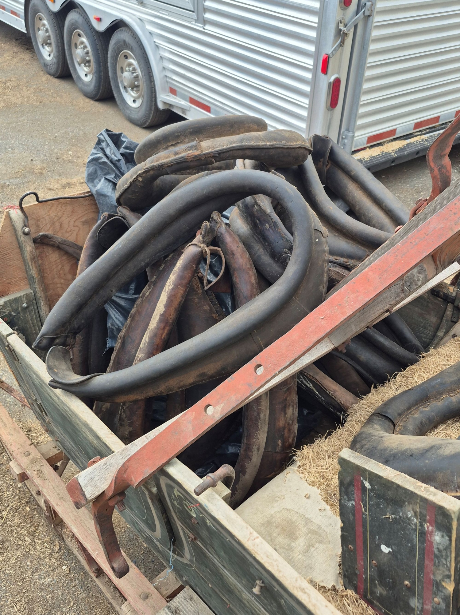 BC Livestock Sale Image